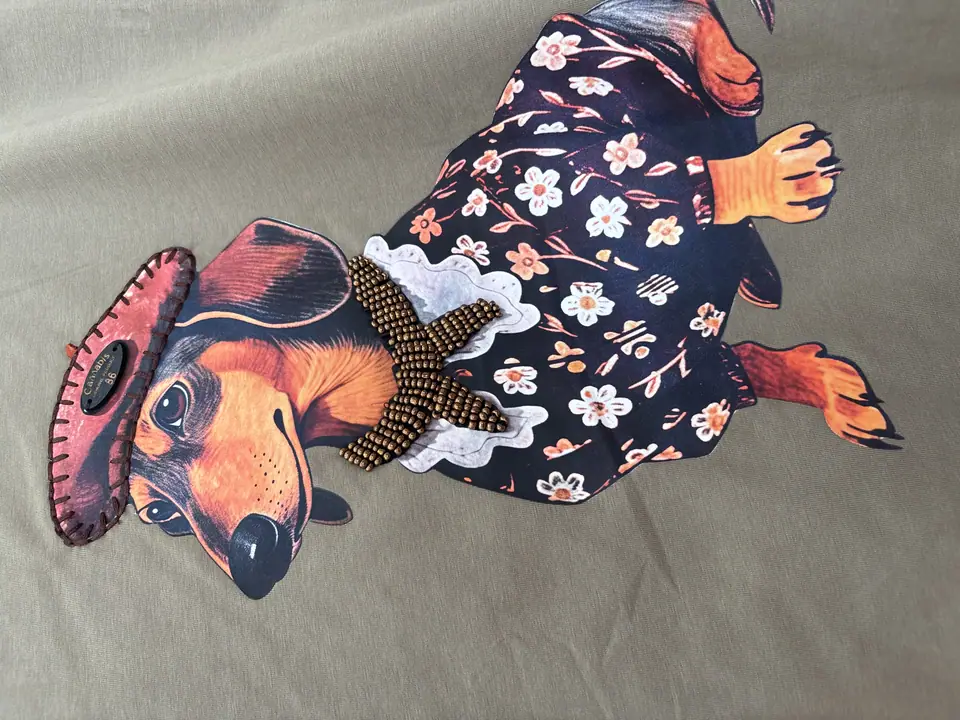 Blusa perrito sombrero